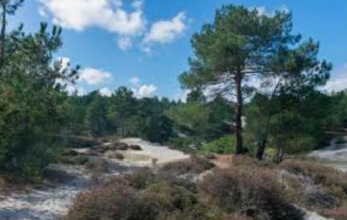 Dirkshorn Huisje Finn, Met Grote Tuin En Veel Privacy מראה חיצוני תמונה